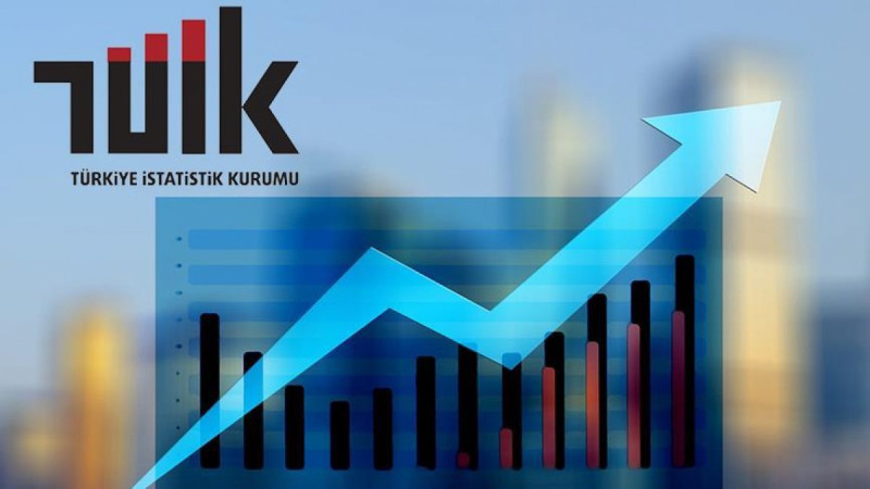 Su ve Atıksu İstatistikleri, 2022