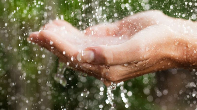 Yağmur Suyu İçilir Mi?