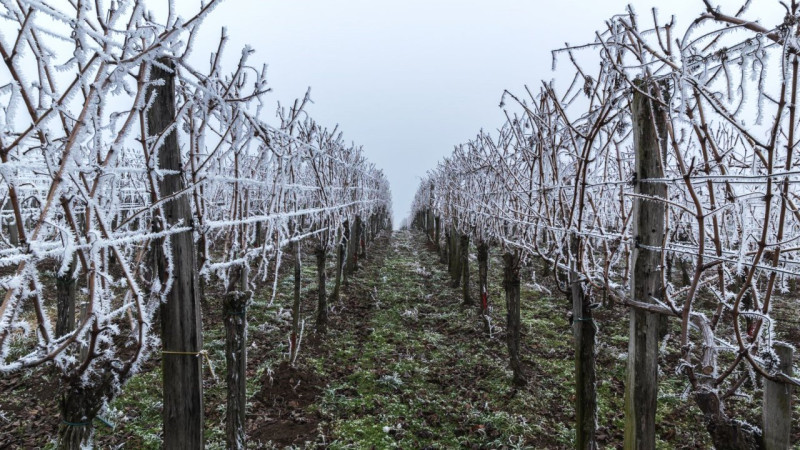 Konya’da alarm zilleri çalıyor! Zirai don uyarısı: Üreticiler dikkat, kritik günler başlıyor